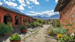 金草滩的草尖就恰似被细心地镀上一层梦